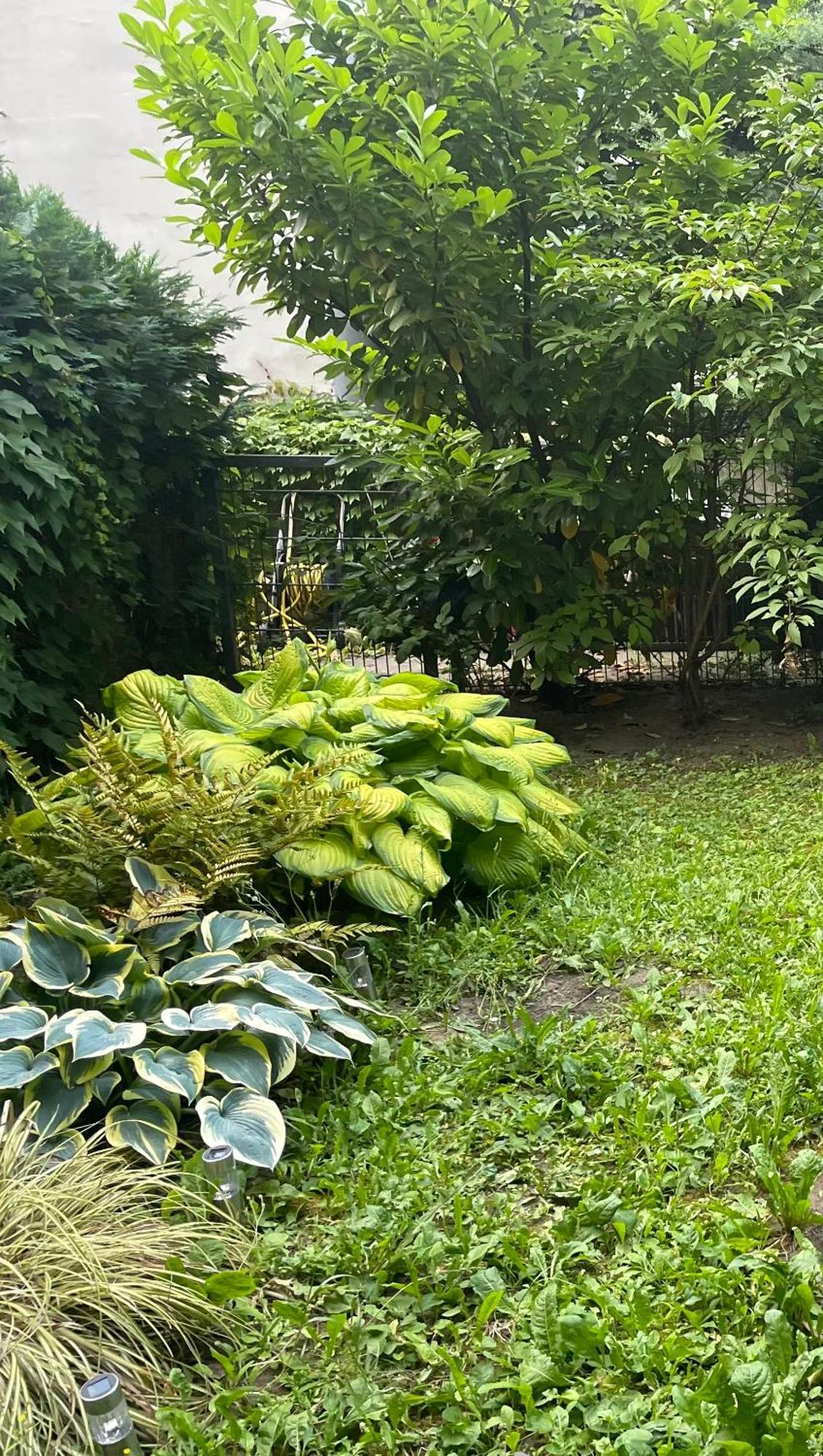Apartment Mit Logia Und Kleinen Garten In Zentraler Lage 2 Wien Ngoại thất bức ảnh